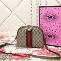 Gucci Ophidia Bag UQ1237