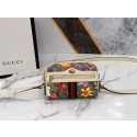 Gucci ophidia UQ1026