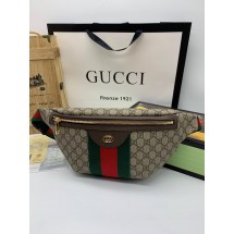 Gucci GG Canvas Belt Bag UQ2225