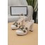 Gucci Sandals UQ0642